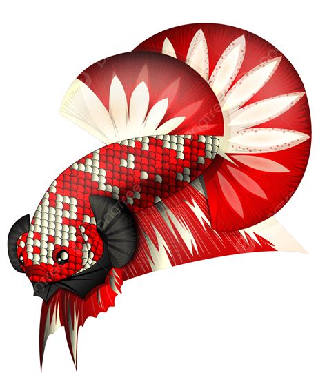 Betta Fish Logo Png Red Clipart Betta Fish Red Betta Fish | The Best ...