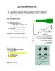 Biomechanics 2 Docx Electromyography And Muscle Fatgue What Can EMG