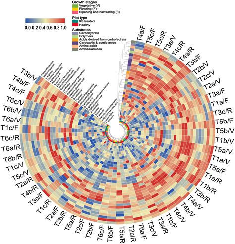 Frontiers Functional Interplay Between Antagonistic Bacteria And