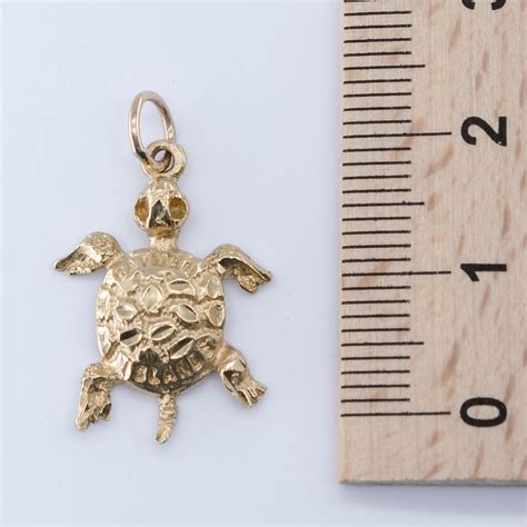 ways to turtle losing hair cheap 5