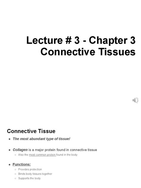 Lecture 3 Ch 3 Connective Tissue Pgs 93 97 Pdf Connective Tissue