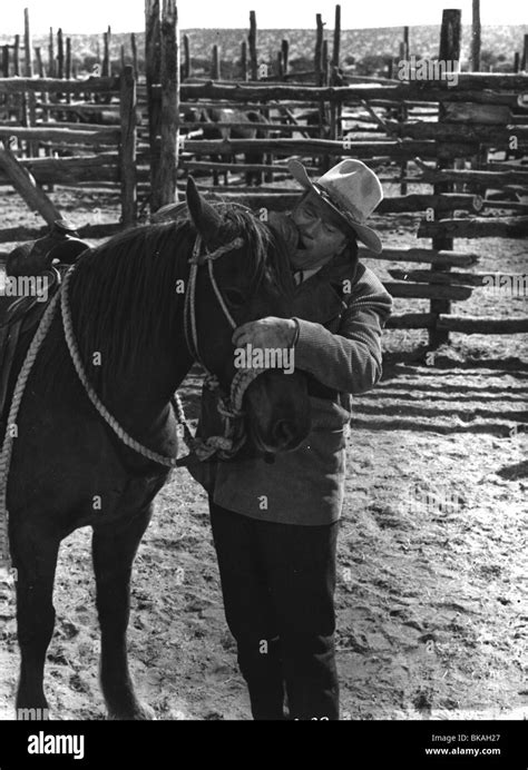 THE COWBOYS -1972 JOHN WAYNE Stock Photo - Alamy