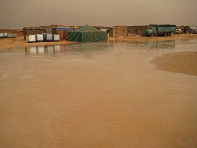 Sahara Sevilla Lluvias Torrenciales Azotan Los Campamentos De