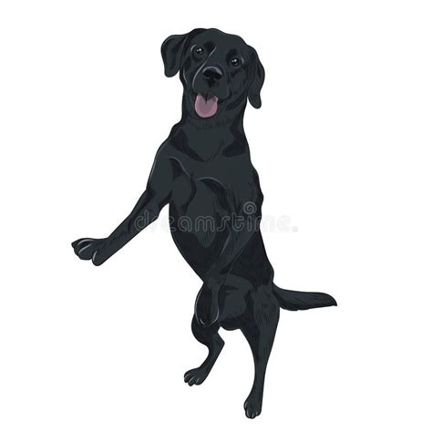 Black Lab Puppy Clip Art Discount | www.aceperu.org