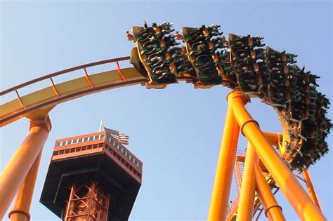 Tatsu Six Flags Magic Mountain Parkaholic