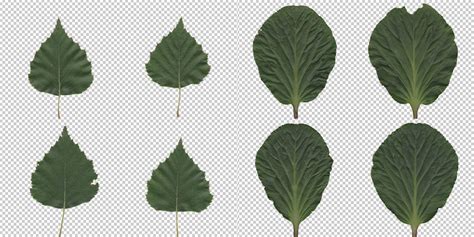 Leaves Textures Collection Pack 2 Blender Market