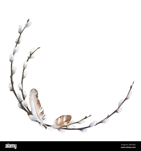 Watercolor Illustration Of A Corner Frame Of Branches With Feathers And Pussy Willow Isolated On