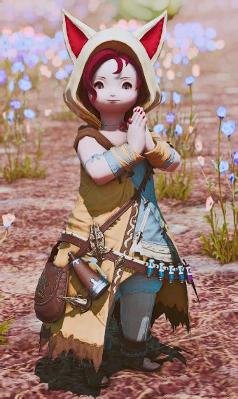 Healer Of The Lake Eorzea Collection