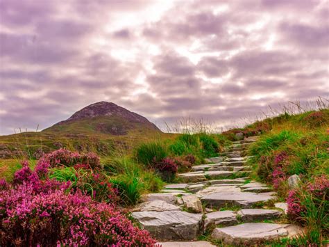 Hiking Ireland: Best Irish Hiking Trails - Wildland Trekking