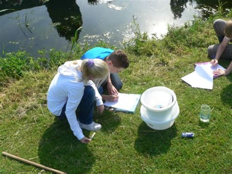 Natuur En Milieu Educatief Centrum Vrienden Van Park Kethel