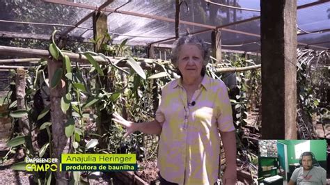 Cultivo De Baunilha Do Cerrado Da Ana Julia Hering Em Brasilia Youtube