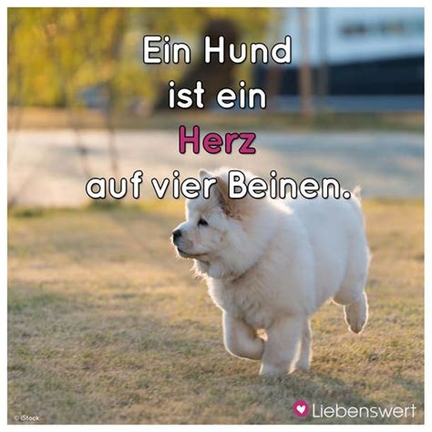 Spr Che F R Tierliebhaber Ich Liebe Hunde Spr Che Tiere Hund Zitat