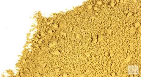 Barberry Root Bark Powder Wild Crafted
