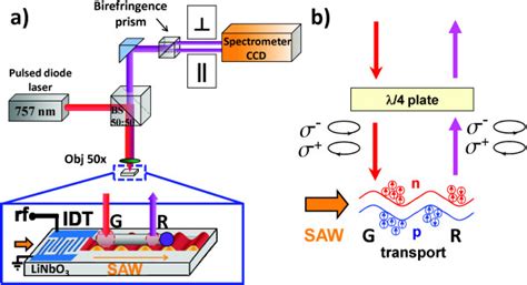 Spin Transport Along Nanowires Spatially Resolved Right Handed