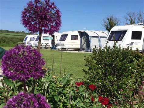 Parkland Caravan and Camping Site - Best of British