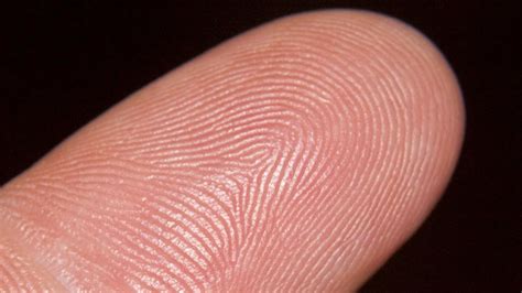 Law Enforcement Technology: Fingerprint Identification – e-Roll Call ...