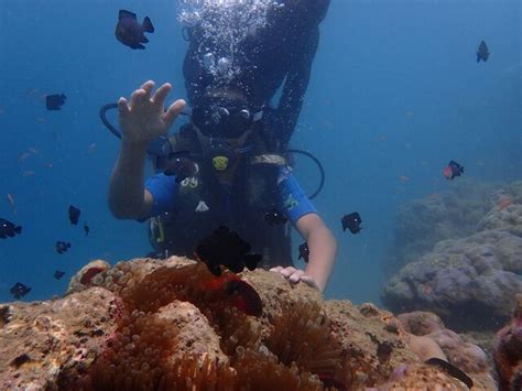 ملفnorth Bay Island Andaman And Nicobar Islandsjpeg المعرفة