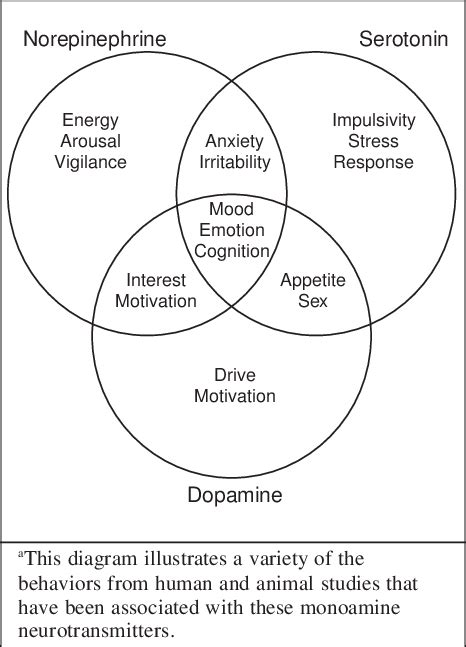 Roles Of The Monoamines In The Brain A Download Scientific Diagram