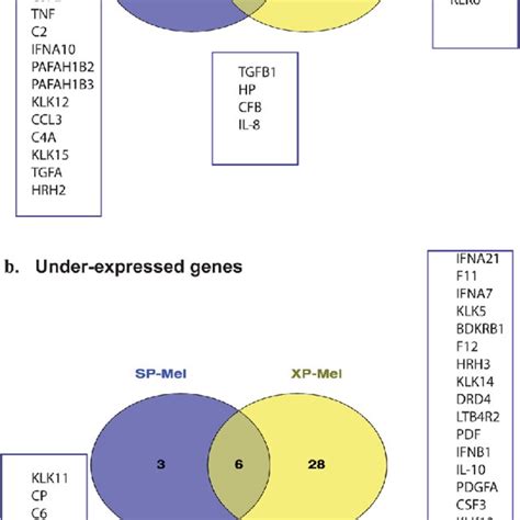 Venn Diagram Illustrating Common And Specific Differentially Expressed