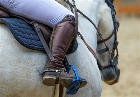 Why Do Show Jumpers Wear Spurs Equestrian Space