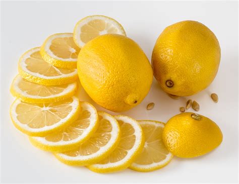 3 Cara Menanam Jeruk Lemon Hidroponik Paling Mudah - IlmuBudidaya.com