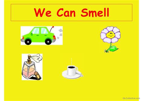 5 Senses General Readin English Esl Powerpoints