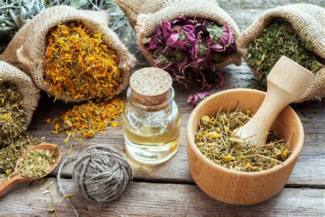 Medicina Alternativa Una Posibilidad Para Prevenir Y Curar Enfermedades