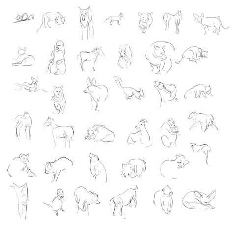 Animal Gesture Drawing By Pear Tree On Deviantart