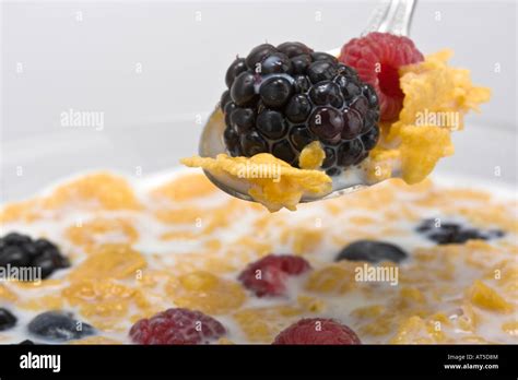 The Cereal Hi Res Stock Photo Alamy