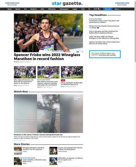 Elmira Star Gazette homepages in 2022 : Free Download, Borrow, and