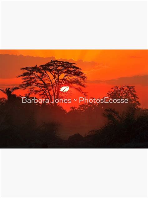 "African Sunrise, Amboseli National Park, Kenya, Africa." Photographic ...