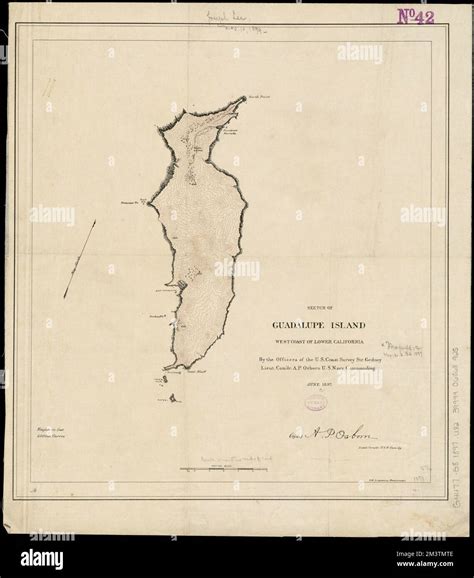 Sketch of Guadalupe Island : west coast of Lower California , Guadalupe ...