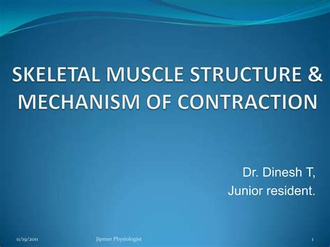 Skeletal Muscle Structure Function Ppt