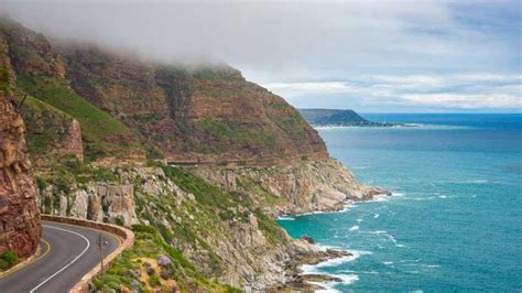 Dagtocht Schiereiland Kaap Punt Pingu Ns Tafelberg Getyourguide