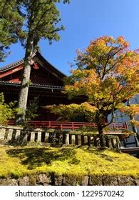 Nikko Toshogu Autumn Stock Photo 1229570242 | Shutterstock