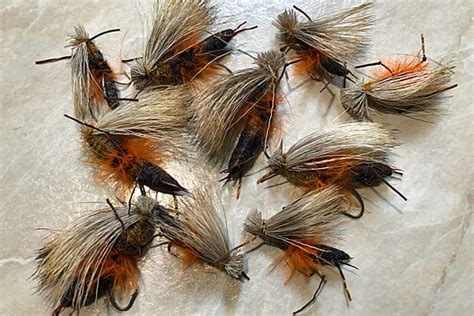 Salmonfly Hatch On Rock Creek Montana Rock Creek Cabin