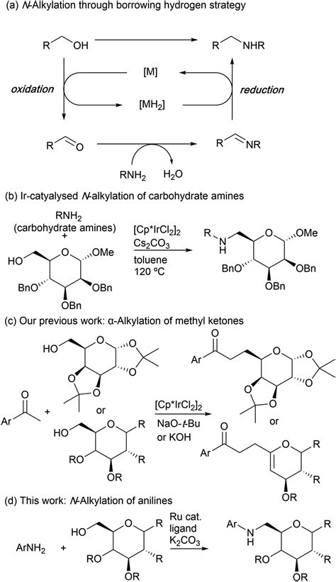 Ruthenium Catalysed N Alkylation Of Anilines With Primary Carbohydrate Alcohols Via Borrowing