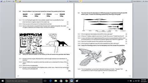 Life Science November Paper Exam Teacha