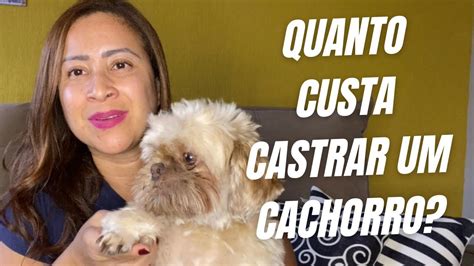 Quanto Tempo Pode Castrar Um Cachorro