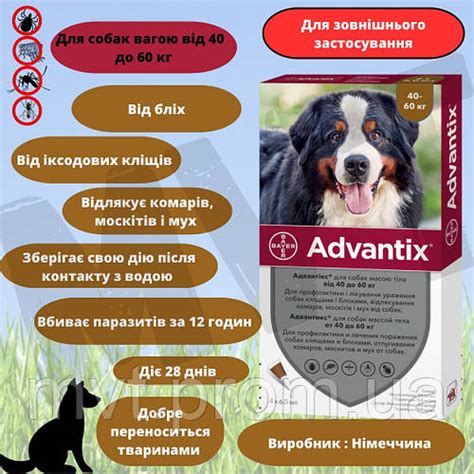 Купить Адвантикс (Advantix) капли от блох и клещей для собак весом 40 ...