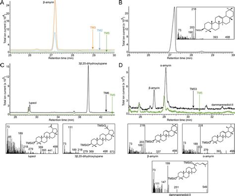 Fig S2 Generation Of Yeast Strains That Produce Different Triterpene Download Scientific