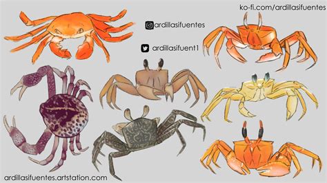 Artstation Crabs Study