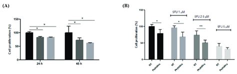 Effect of peptides on RKO cell proliferation. (A) Cell proliferation in ...