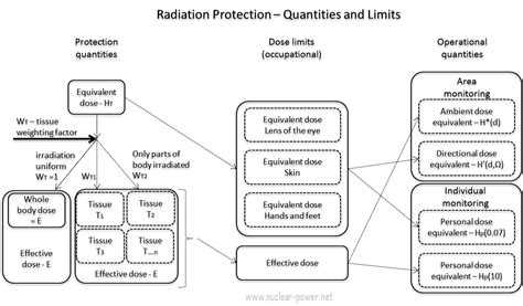 What Is Radiation Dosimetry Definition