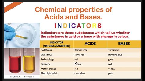 Acidsbases And Salts Indicators Class10 By Poonam Malhotra Youtube