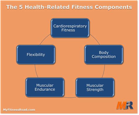 😍 The 5 components of physical fitness. The Five Basic Components of Physical Fitness Explained ...