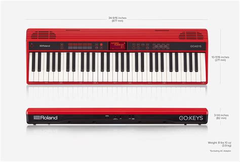 Roland GO:KEYS 61-Key Music Creation Keyboard | TMW