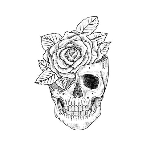 Premium Vector Sketching Tattoo And T Shirt Design Skull And Rose Premium