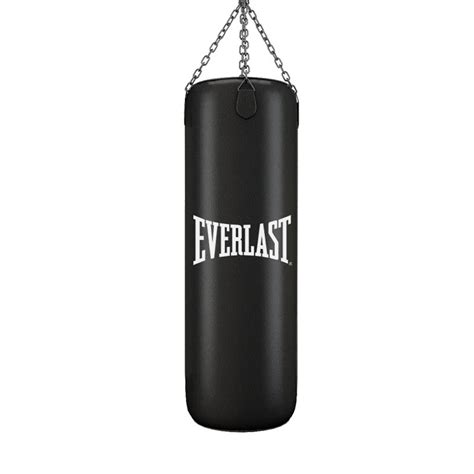 5ft Everlast Punching Bag Online In Pakistan Zara Sports