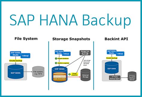 Backupm Glichkeiten Von Sap Hana